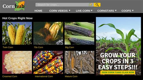 corn hub official website.
